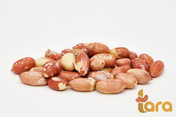 توزيع الفول السوداني محمص