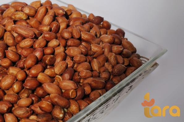طلبيات شراء فول السوداني محمص جاف
