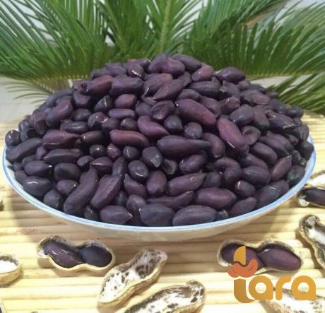 مراكز توزيع فول السوداني الاسود