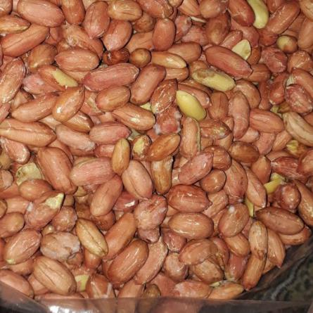 سوق توزيع  نبات فول السوداني