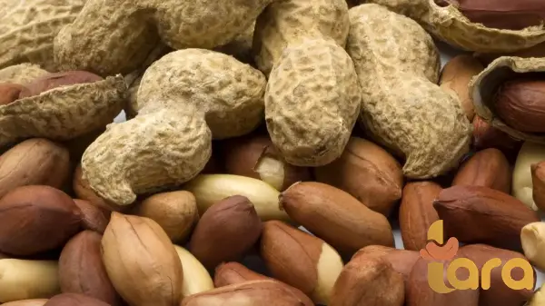 بیع الفول السوداني غني بالزنك