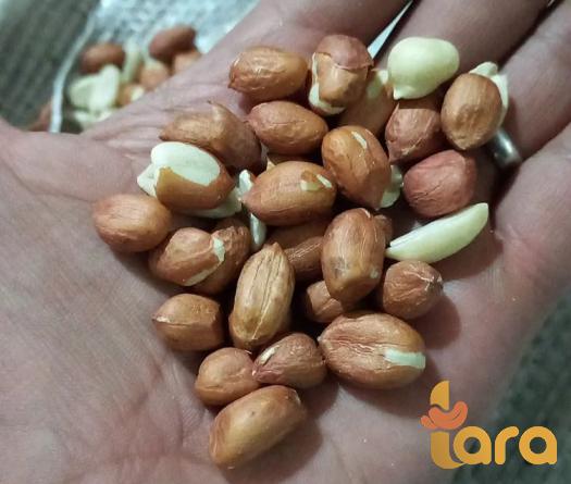 ماهو فول السودانی الذی یستخدمه أکثر الناس؟