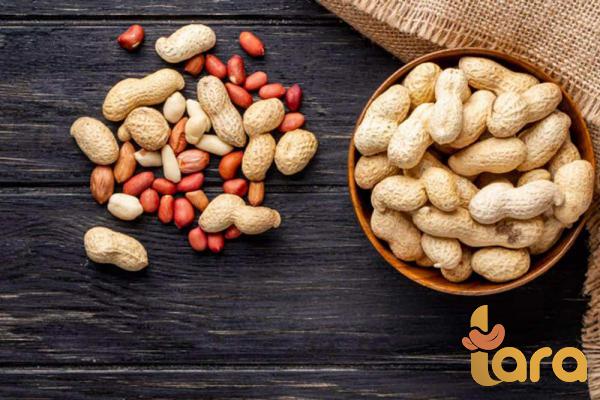 شرکات بیع فول سودانی للطبخ