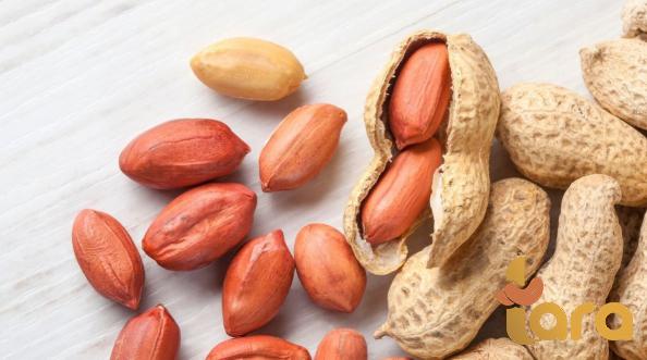 بيع فول سوداني غیر مقشر عبر الأنترنت