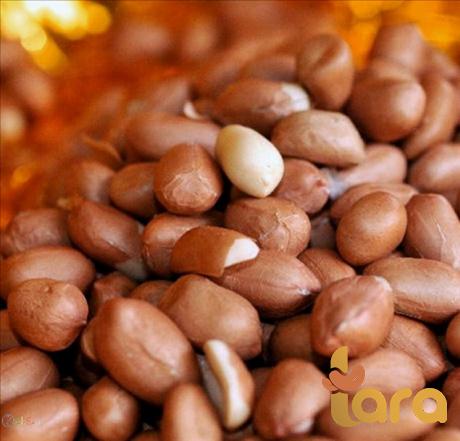 أفضل سعر للفول السودانی بقشرة للشراء