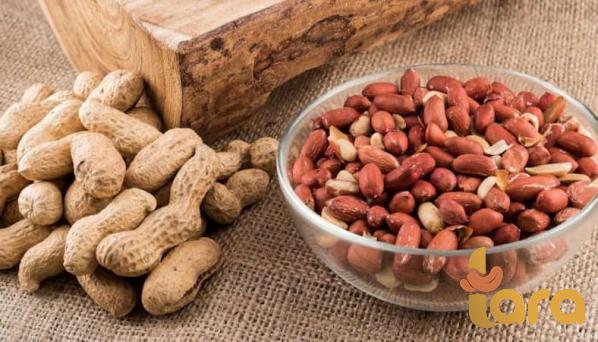 سعر طن الفول السوداني للبيع بالجملة