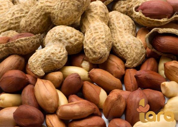 افضل طرق طلب شراء فول سوداني للطبخ