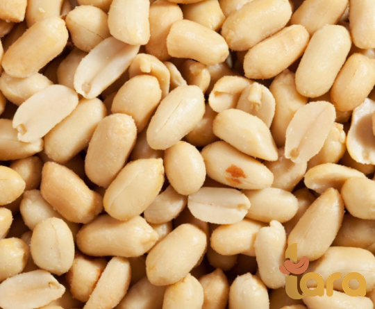 هل الفول السودانی مفید للحمل ؟